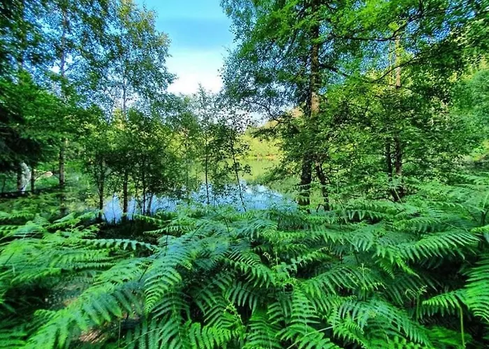 Apartment Le Petit Domaine De Leo L Ecureuil Cosy Avec Jardin Privatif