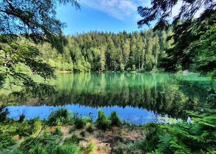 Apartment Le Petit Domaine De Leo L Ecureuil Cosy Avec Jardin Privatif Celles-sur-Plaine